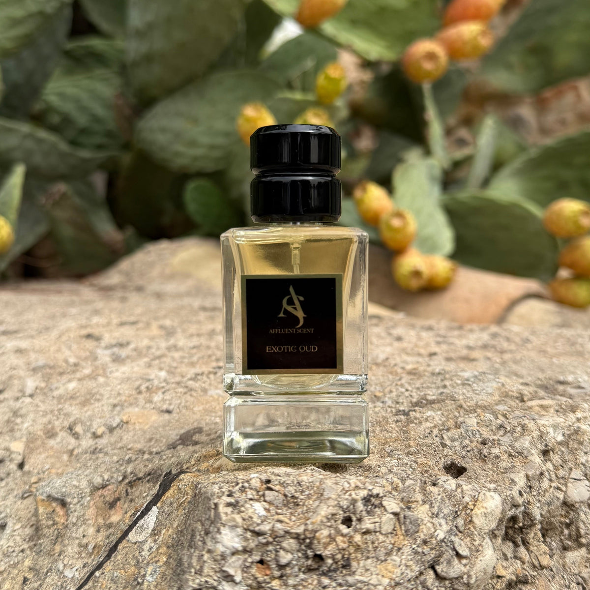 EXOTIC OUD