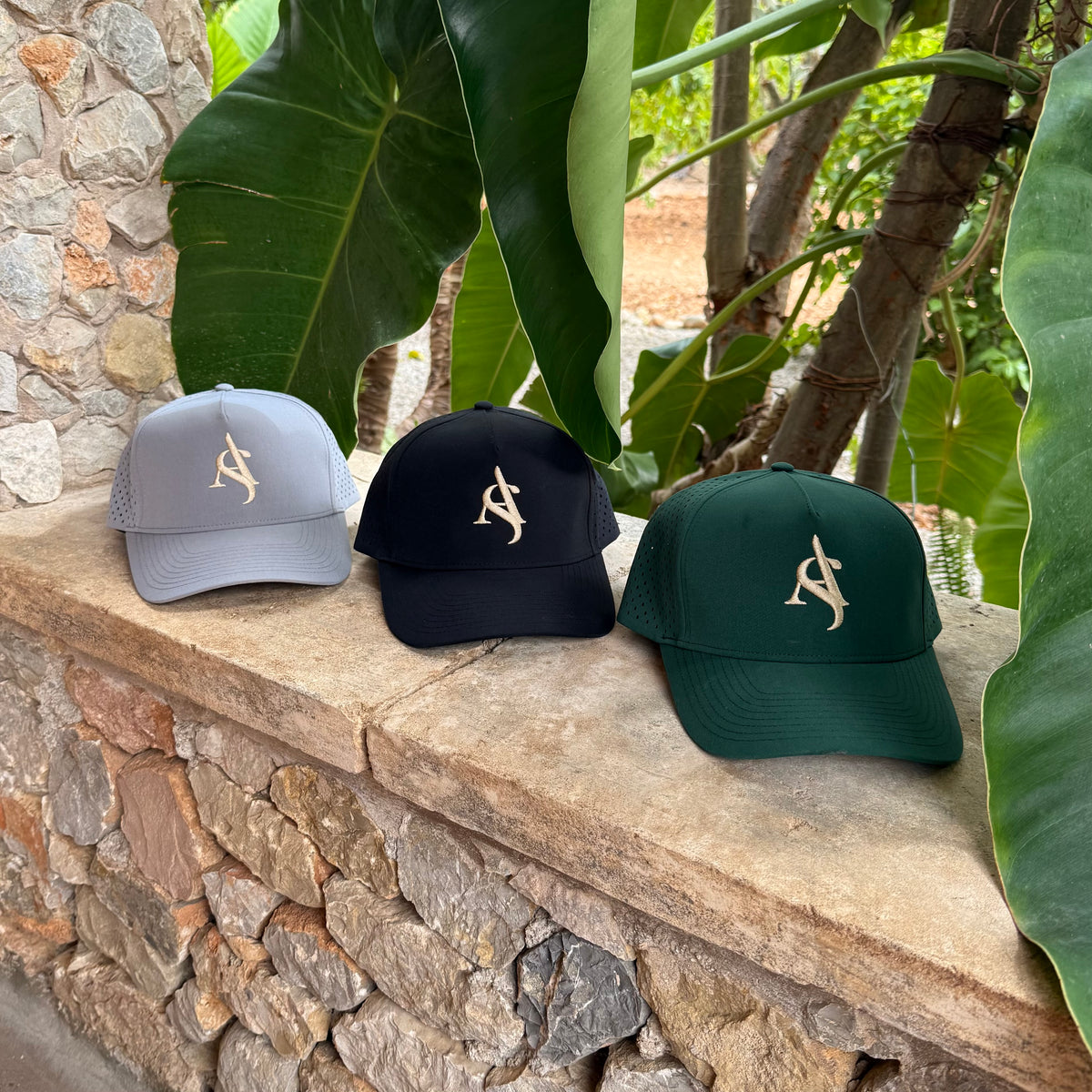 EXCLUSIVE CAP
