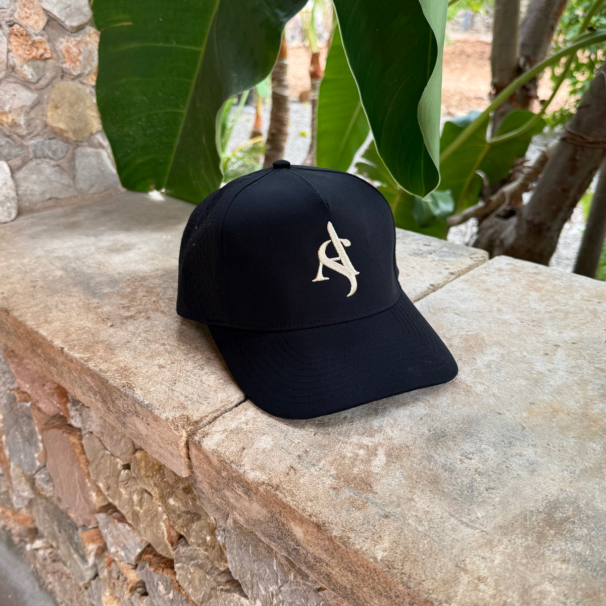 EXCLUSIVE CAP